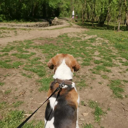 Appartamento Vukajlo Petit Belgrado