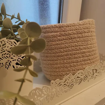 Vukajlo Petit Belgrado