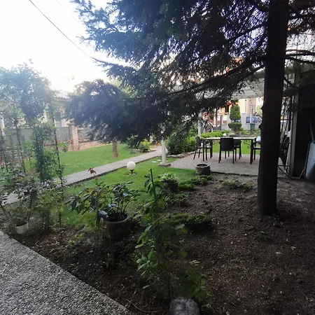 Vukajlo Petit Belgrad